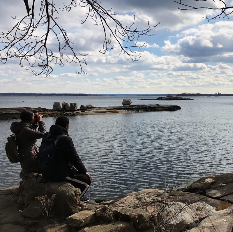 Two people sitting on shoreline rocks watching birds across the water