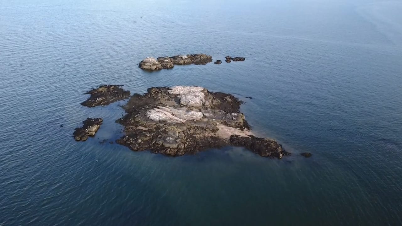 Aerial view of a rocky islet of the Davis Islands streaked with white, in calm blue water